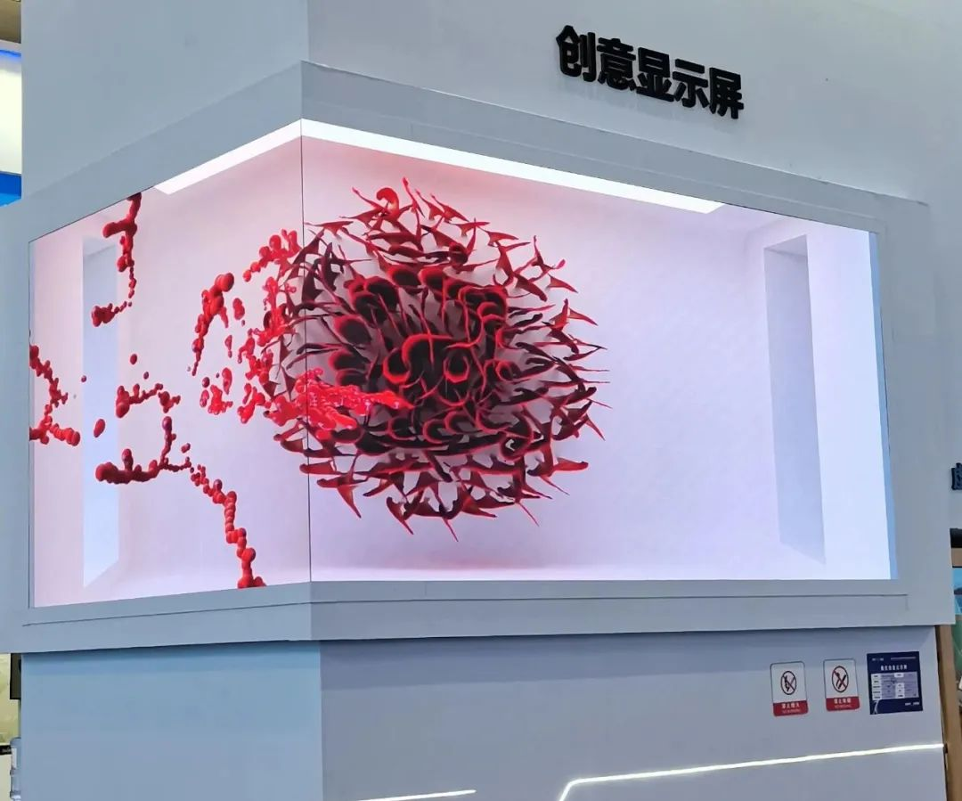 惊艳亮相南博会 | c7c7娱乐平台打造视觉盛宴