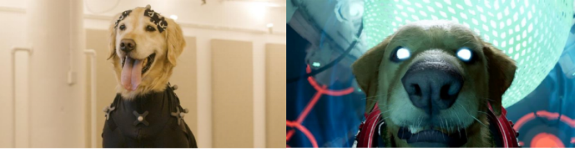 c7c7娱乐平台(中国游)登录官网入口