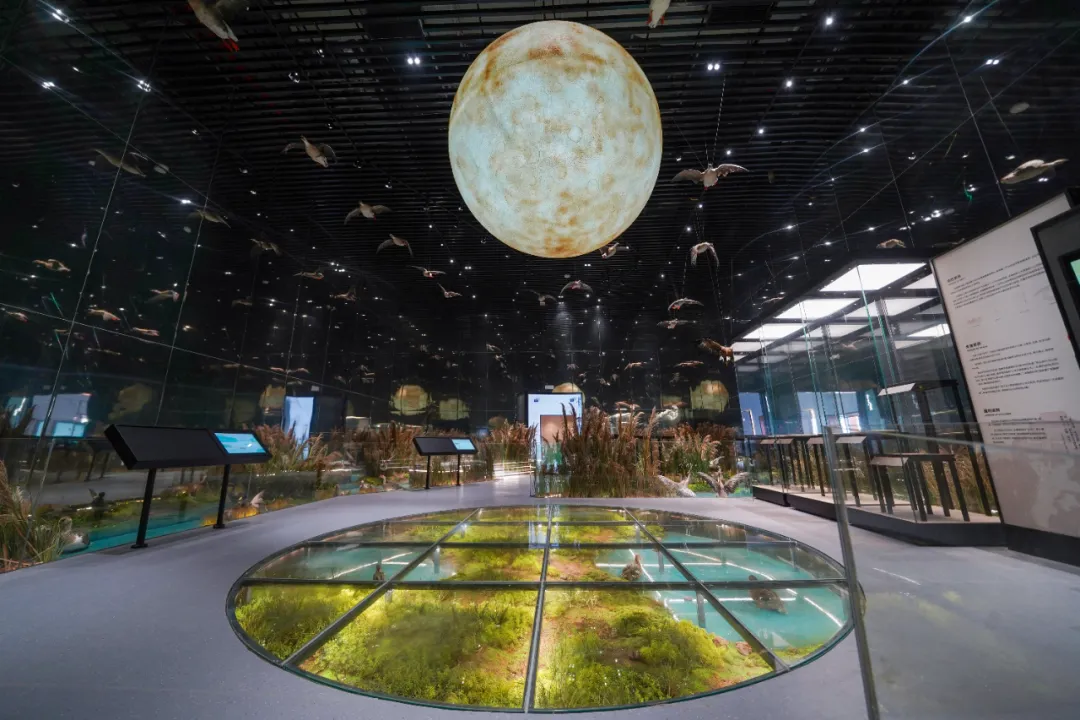 c7c7娱乐平台(中国游)登录官网入口