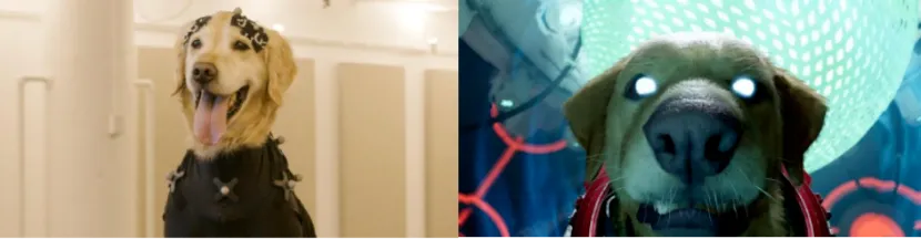 c7c7娱乐平台(中国游)登录官网入口