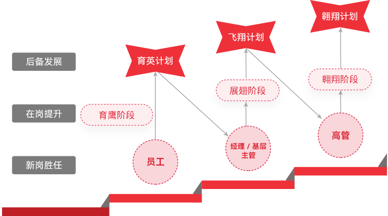 c7c7娱乐平台 "雄鹰妄想"人才梯队作育